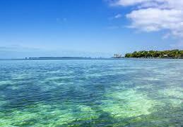 A body of water with trees in the background.